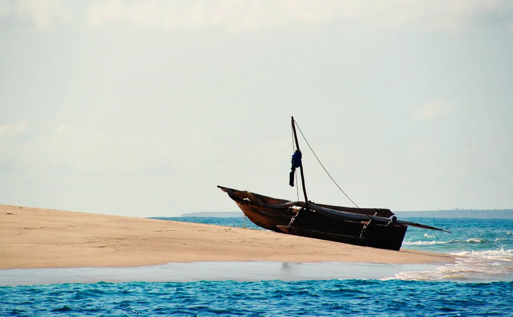 
8-Day Tanzania Safari & Beach Holiday