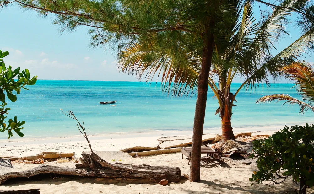 
2-Day Zanzibar Beach Special