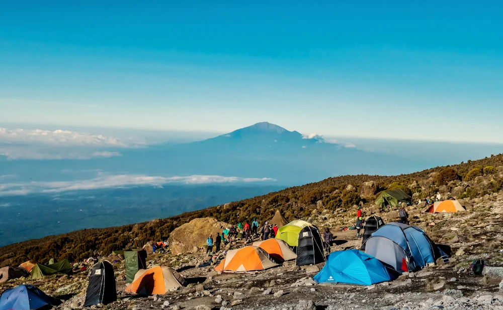 
8- days Mount Kilimanjaro via Lemosho Route